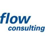 Logo flow consulting gmbh