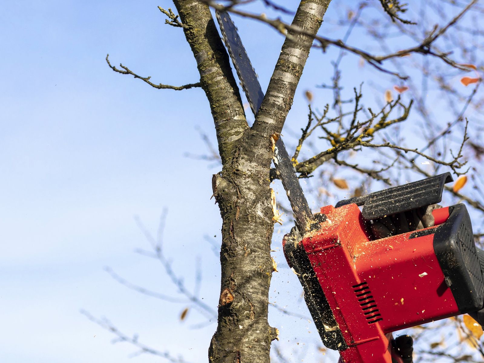 O'Brother Tree Service LLC