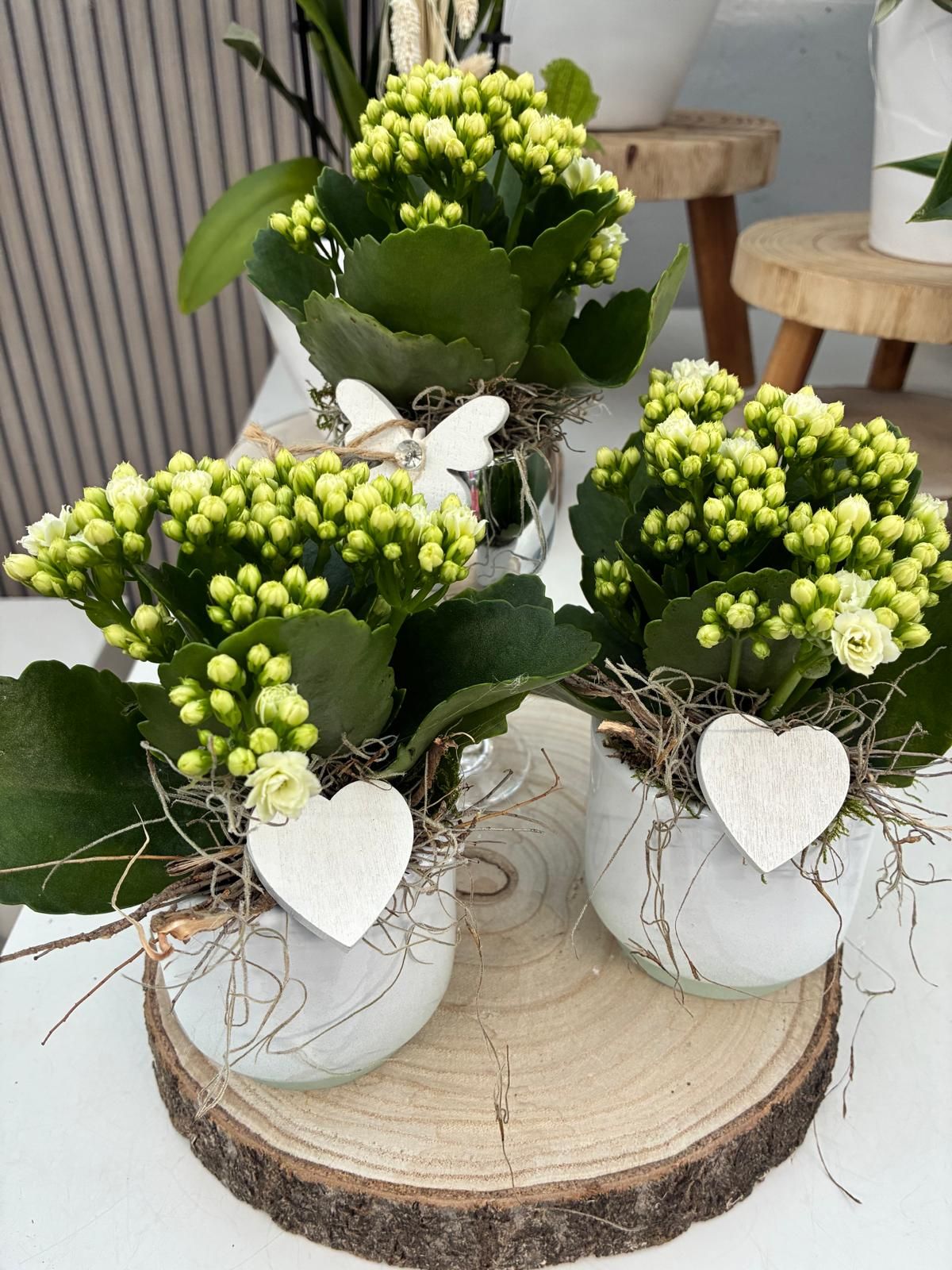 Blumen Huff Inh. Thorsten Huff, Stationsweg 195 in Mönchengladbach