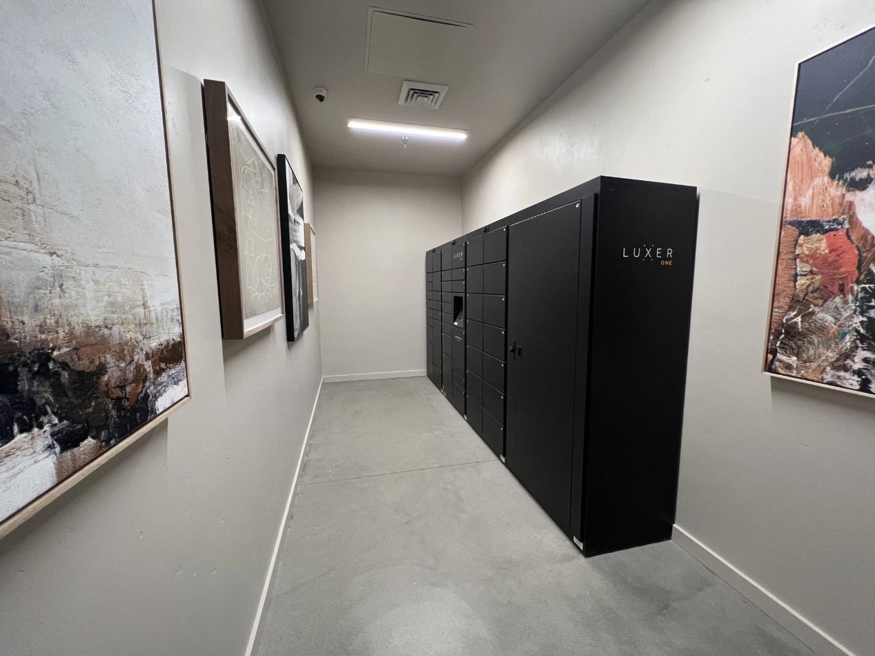 A row of LuxerOne package receiving lockers with abstract art on the walls