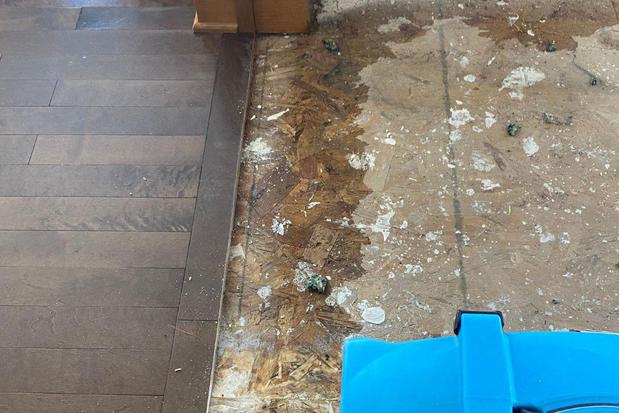 Images First Response Restoration - MN & WI Water Damage Repair