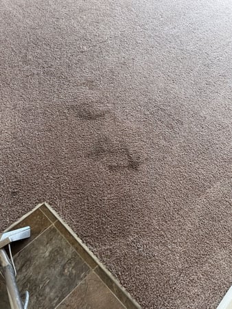 Images East Coast Carpet Care, Inc