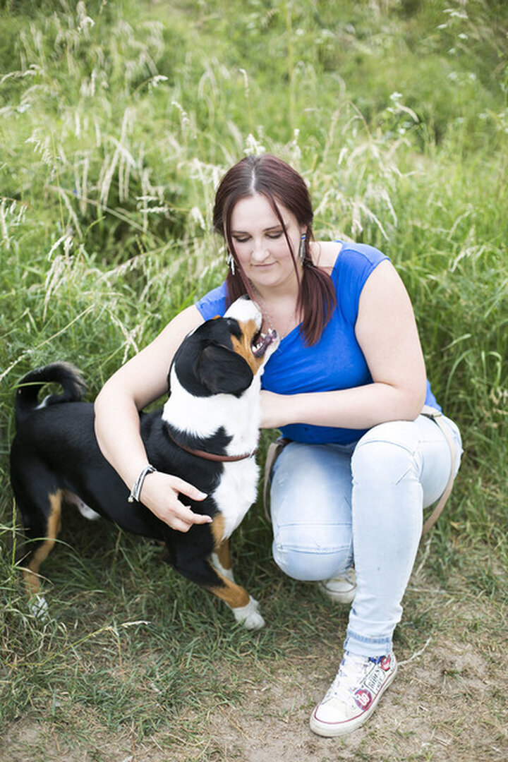 Bilder Hundezentrum Lapki