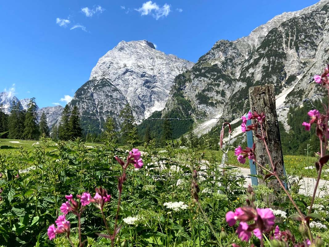 Alpengasthaus Falzturn in 6213 Pertisau