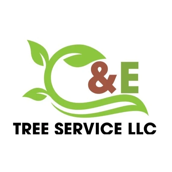 C & E Tree And Landscaping Service LLC
