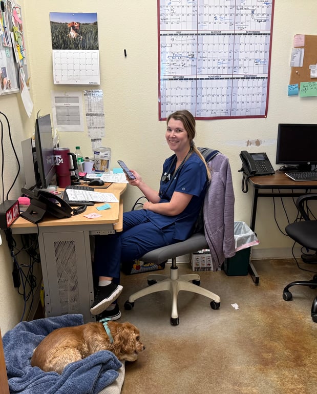 Images VCA Lakeside Animal Hospital