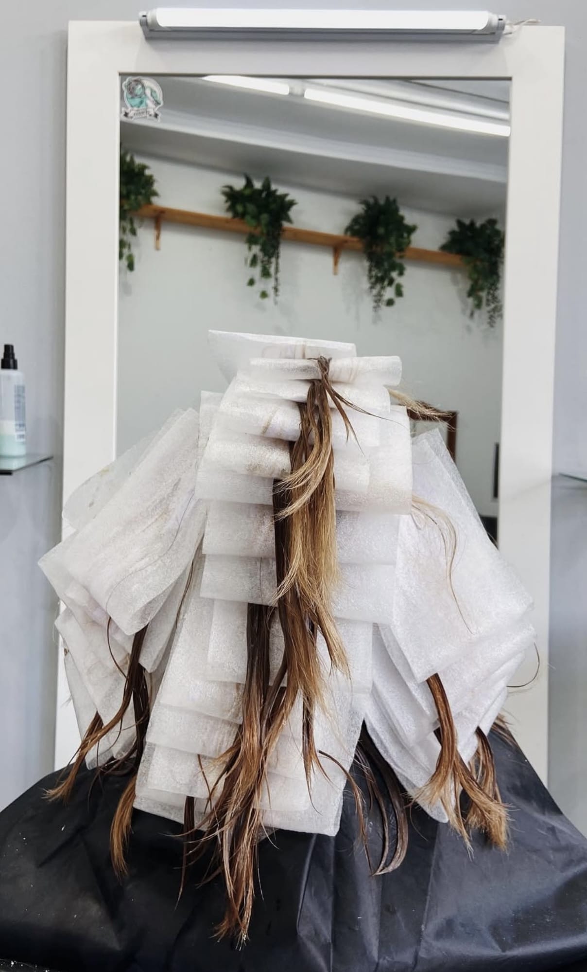 Images Staff Modern Peluquerías Valencia