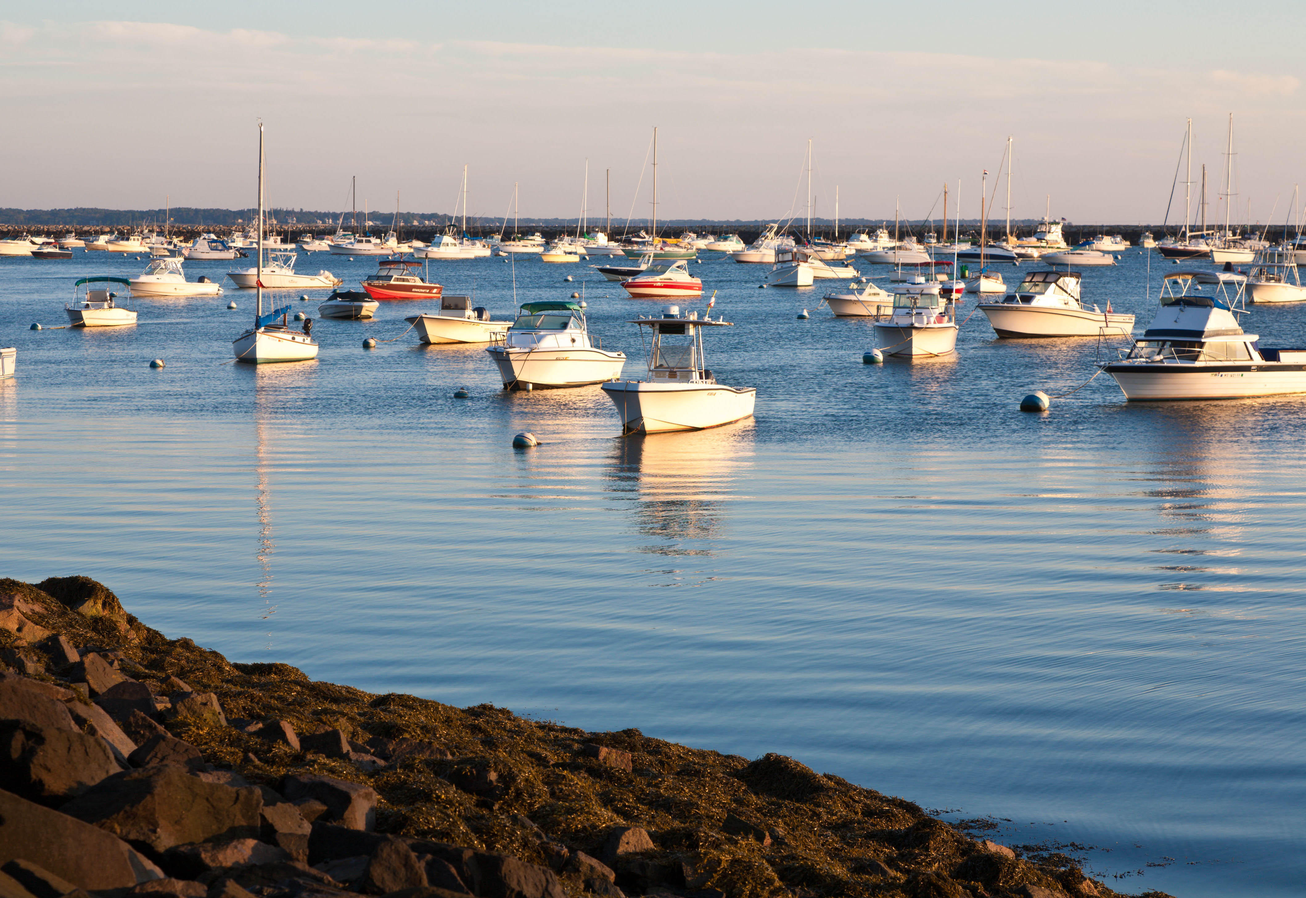 Alden's Reach Sits Between Plymouth's Beaches and Trails