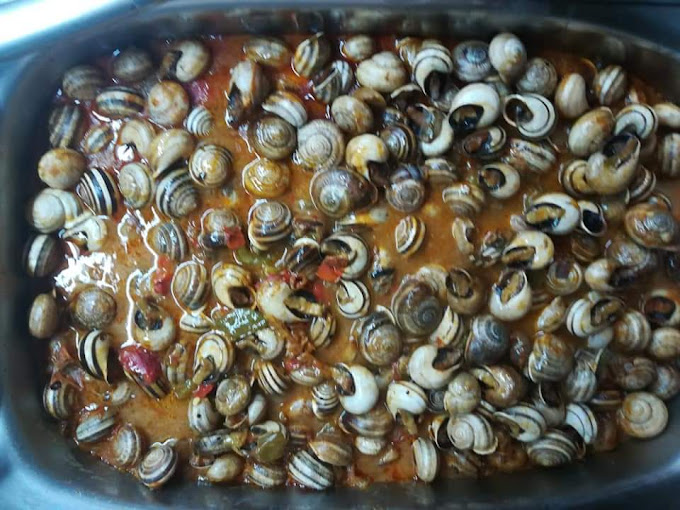 Images Rostisseria Mayor