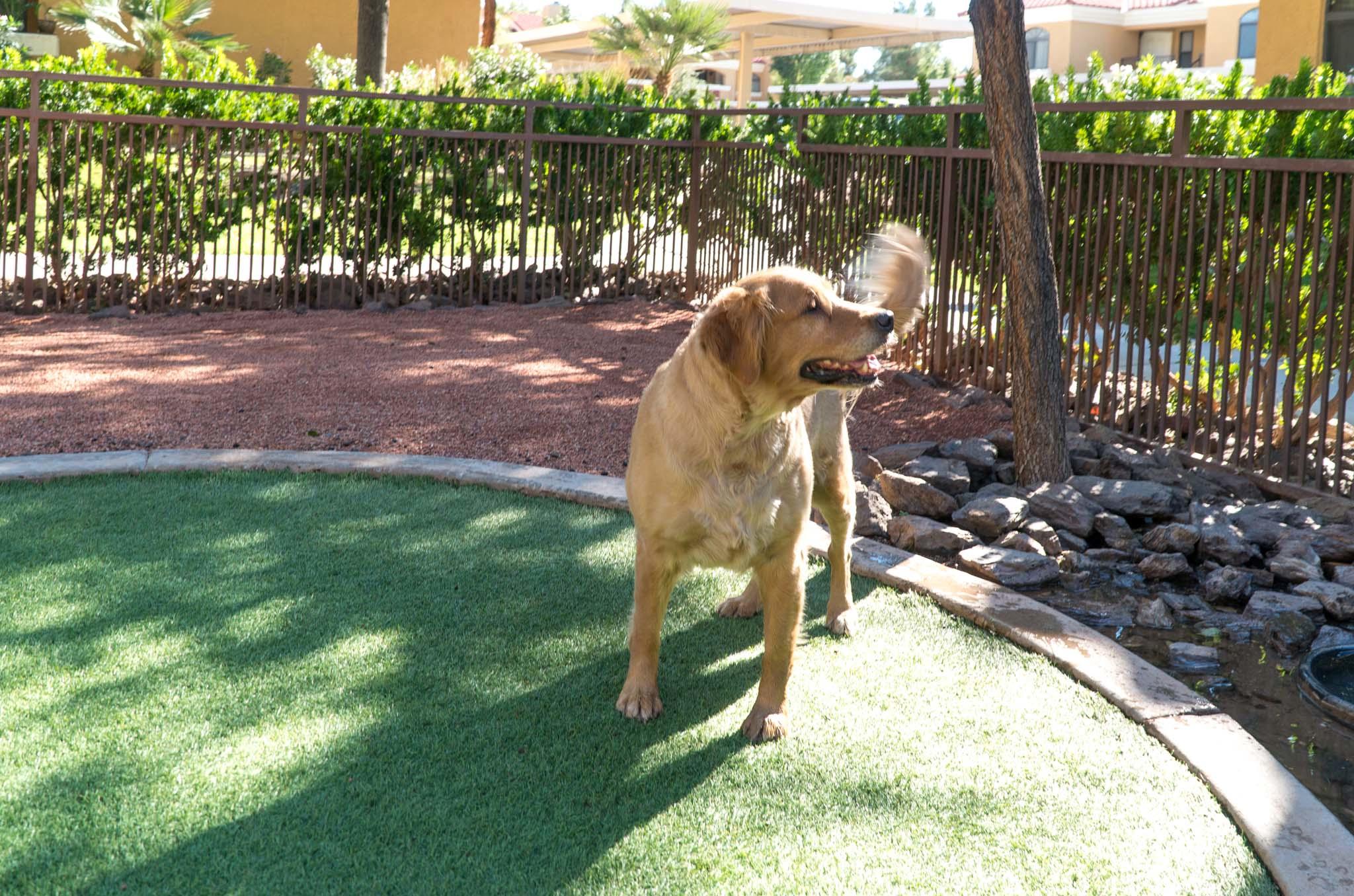 Camden San Paloma Apartments Photo