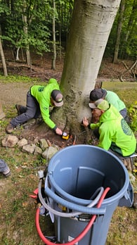 Images Titan Arbor Care Tree Service