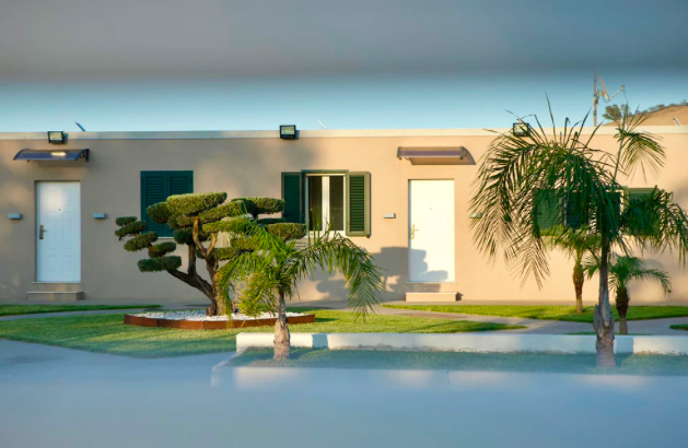 Images Your Dog Resort