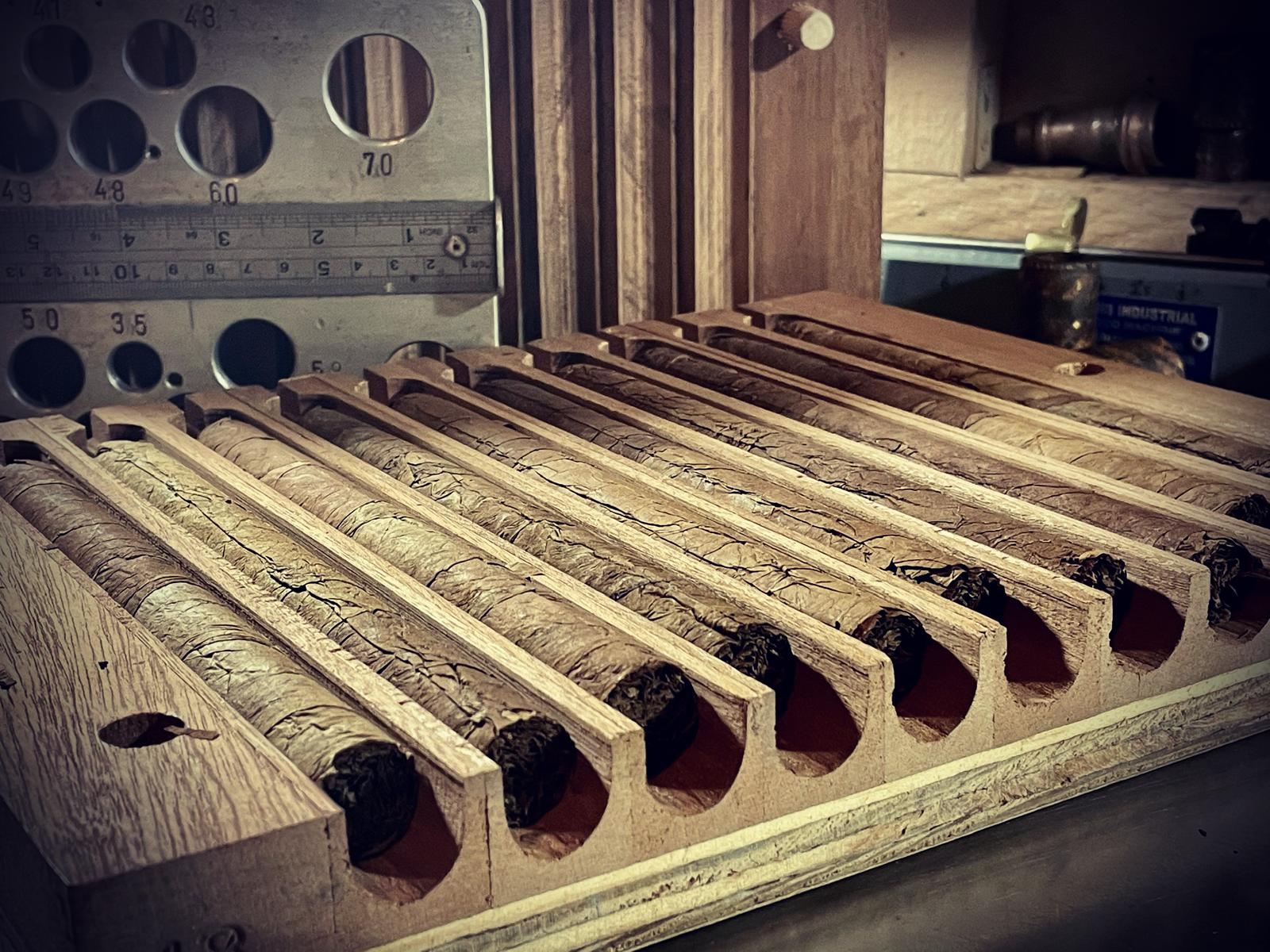 Bilder Gina Reyes Cigars