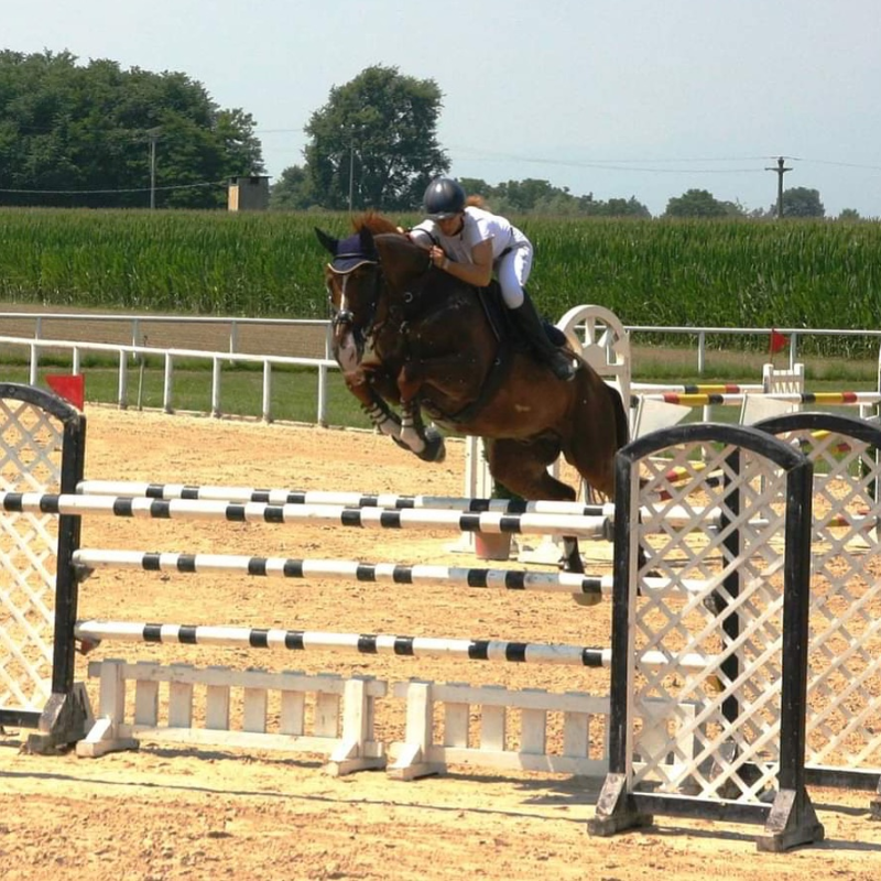 Images Girardi Stable A.S.D.