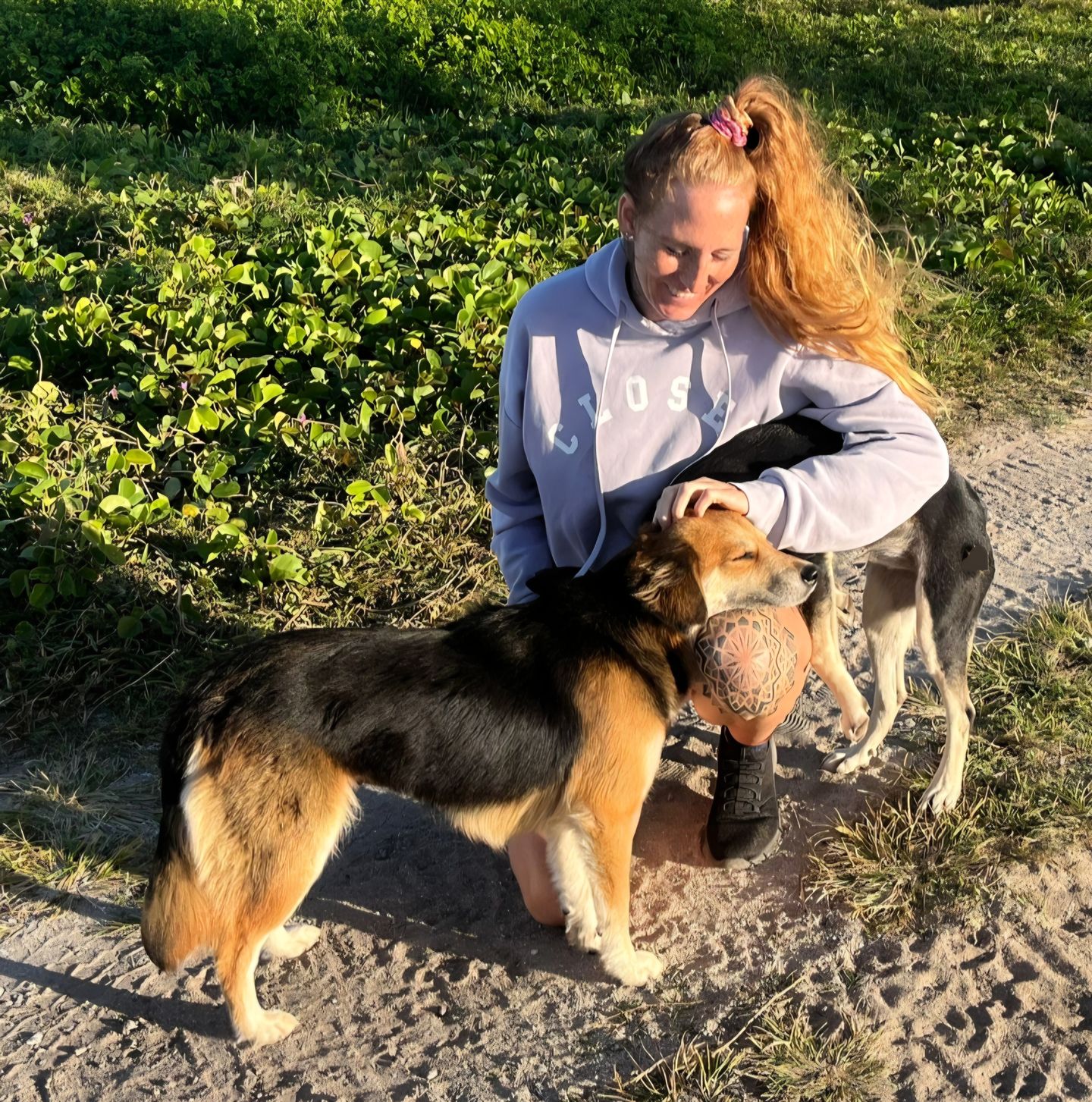 PAWtner Hundetraining Sabrina Rösch, Am Tiefenbach 10 in Ilsfeld