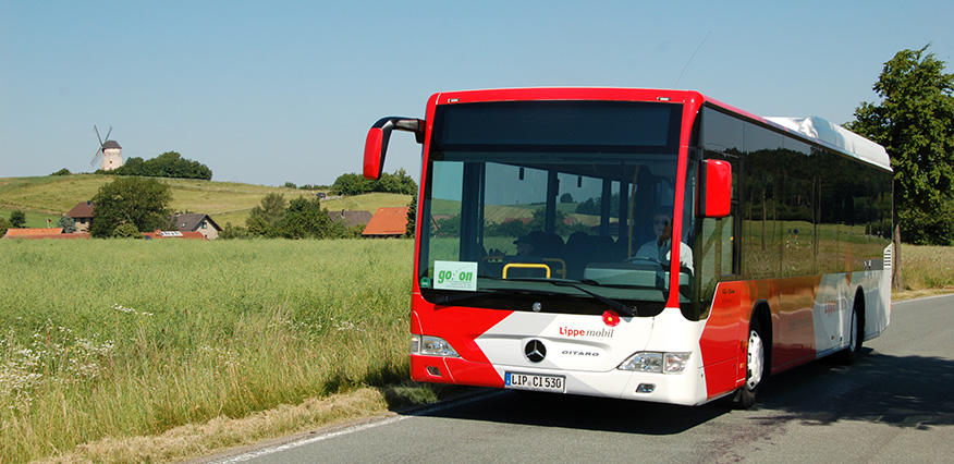 Felix Reisen, Auf dem Streken 3 in Kalletal