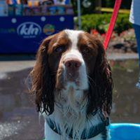 Benson's Pet Center (Colonie) Photo