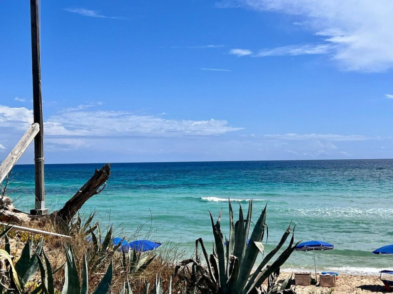 Images Aquarium Residence