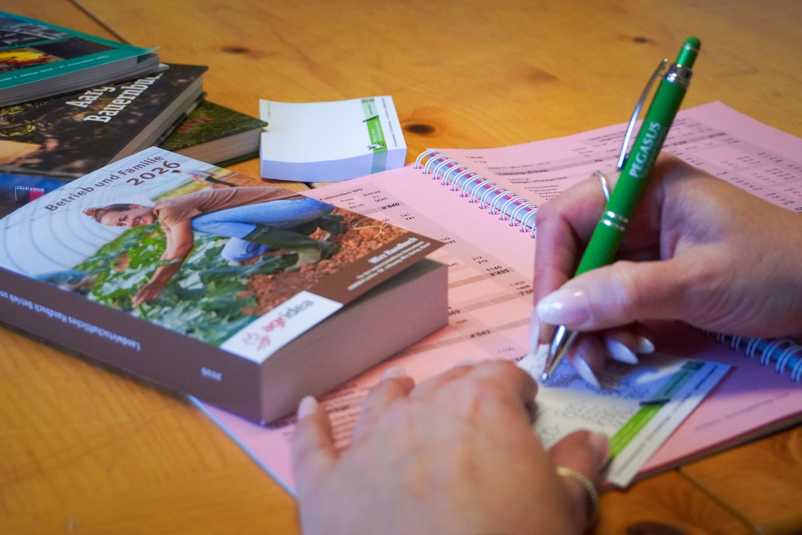 Pegasus Treuhand Urs Vögele Beratungen GmbH, Schützenhausstrasse 18 in Kleindöttingen