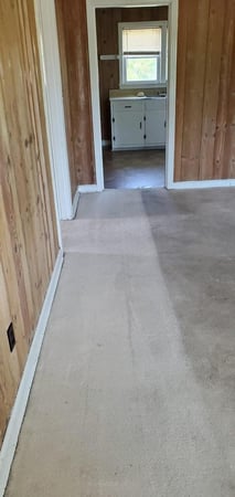 Images Allen's Carpet Care Plus