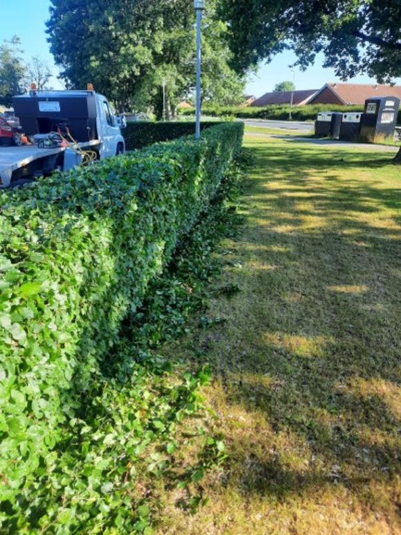 Images Marks Anlægsgartner Service