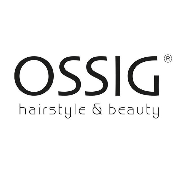 Ossig Hairstyle & Beauty Logo