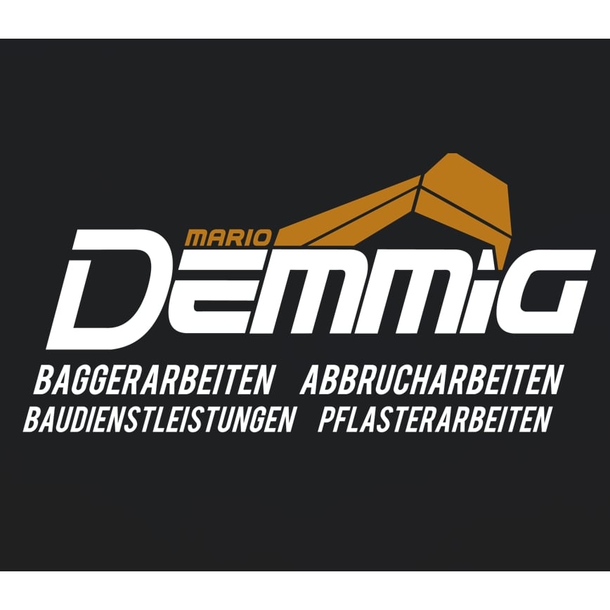 Mario Demmig Bagger- und Abbrucharbeiten GmbH & Co. KG  