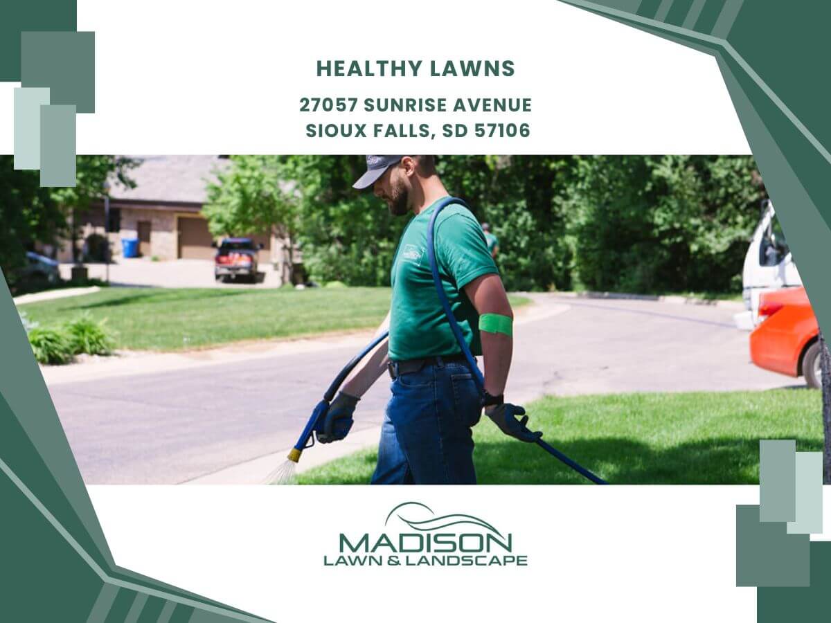 healthy lawns