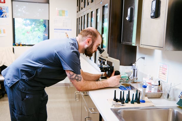 Images VCA North Rockville Animal Hospital