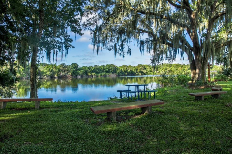 Tranquil lake view