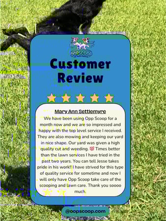 Images Oop Scoop Pet Waste Removal