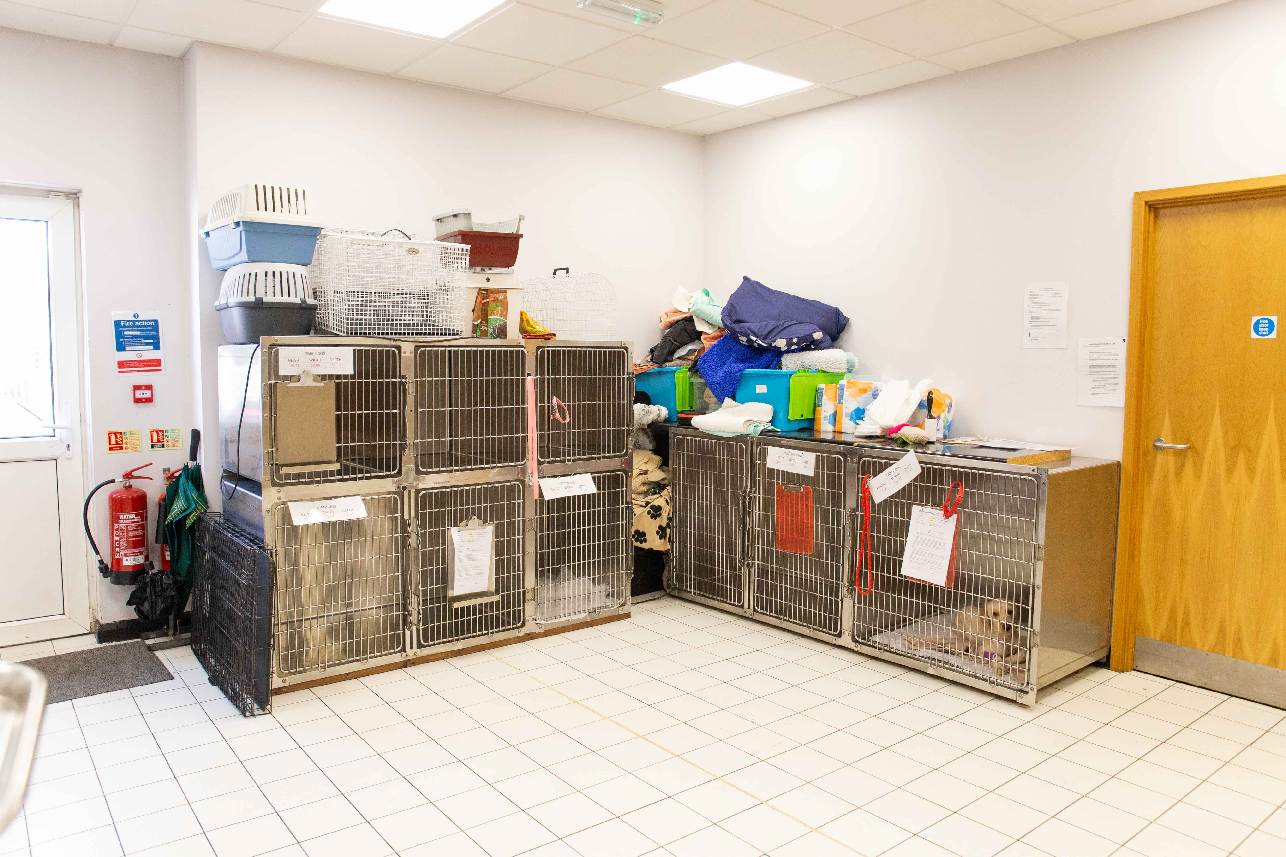 Images Northlands Veterinary Group, Corby
