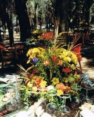 Images Un Mondo di Fiori