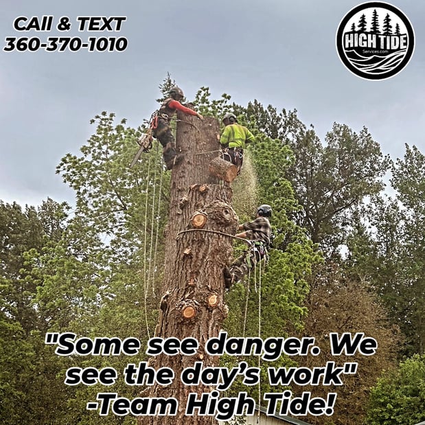 Images High Tide Services