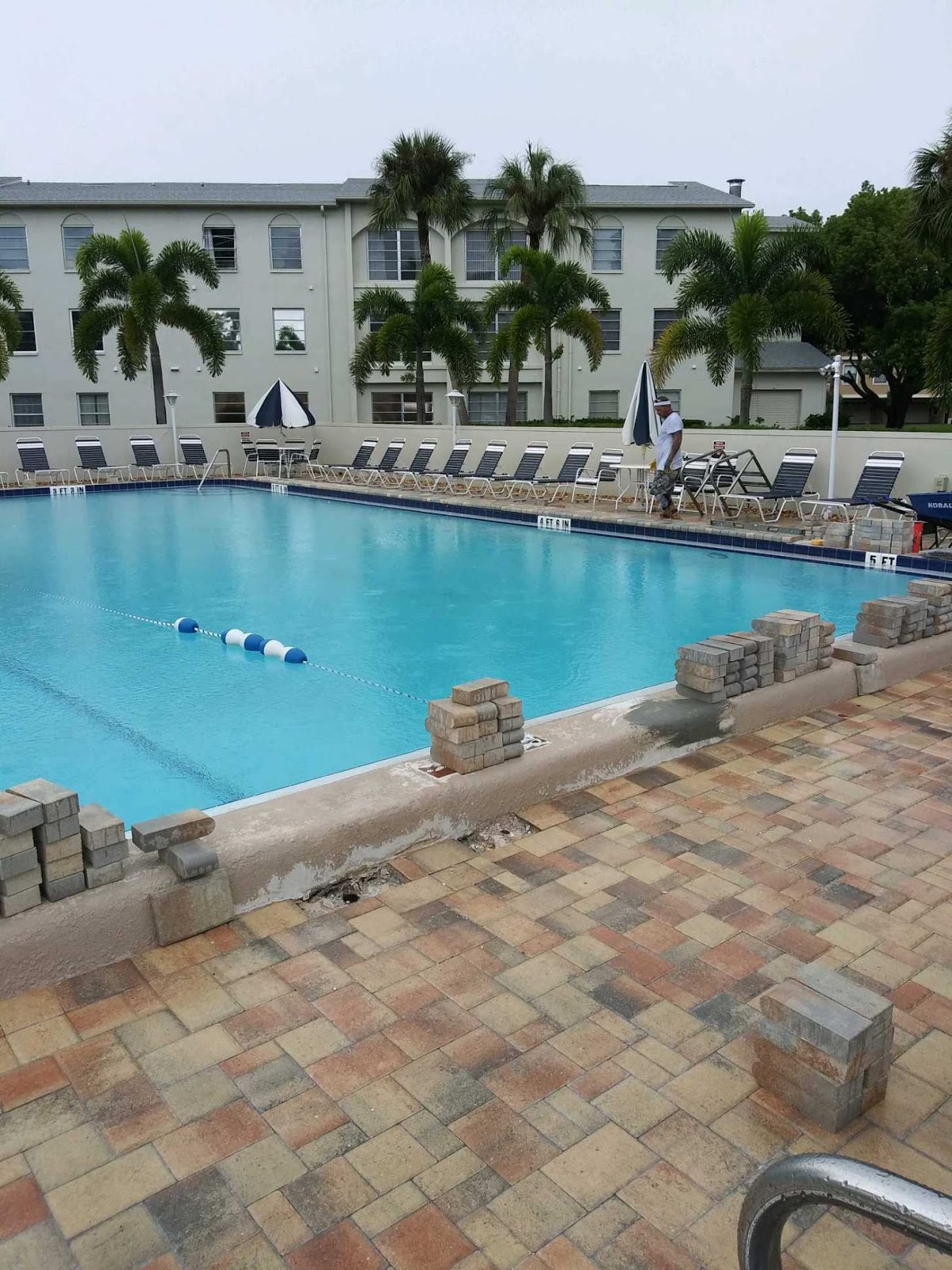 Large community swimming pool surrounded by paver decking, lounge chairs, palm trees, and a multi-story residential building.