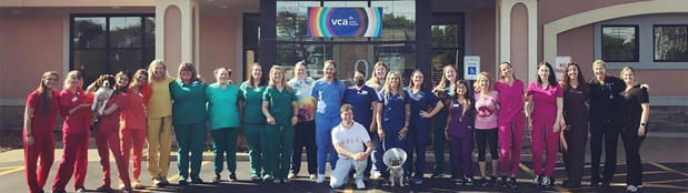 Images VCA Fairmount Animal Hospital