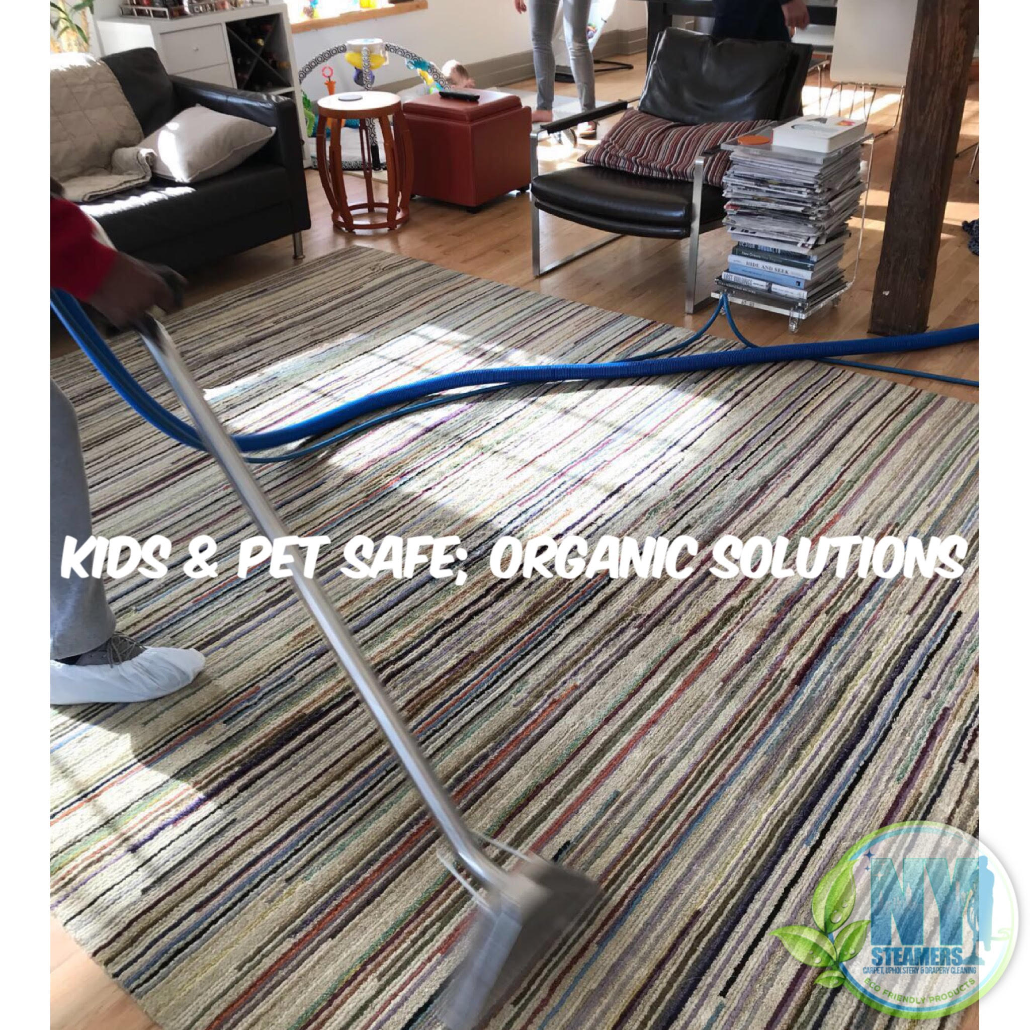 Area Rug Cleaning, Stain Removal, Kids & Pet Safe