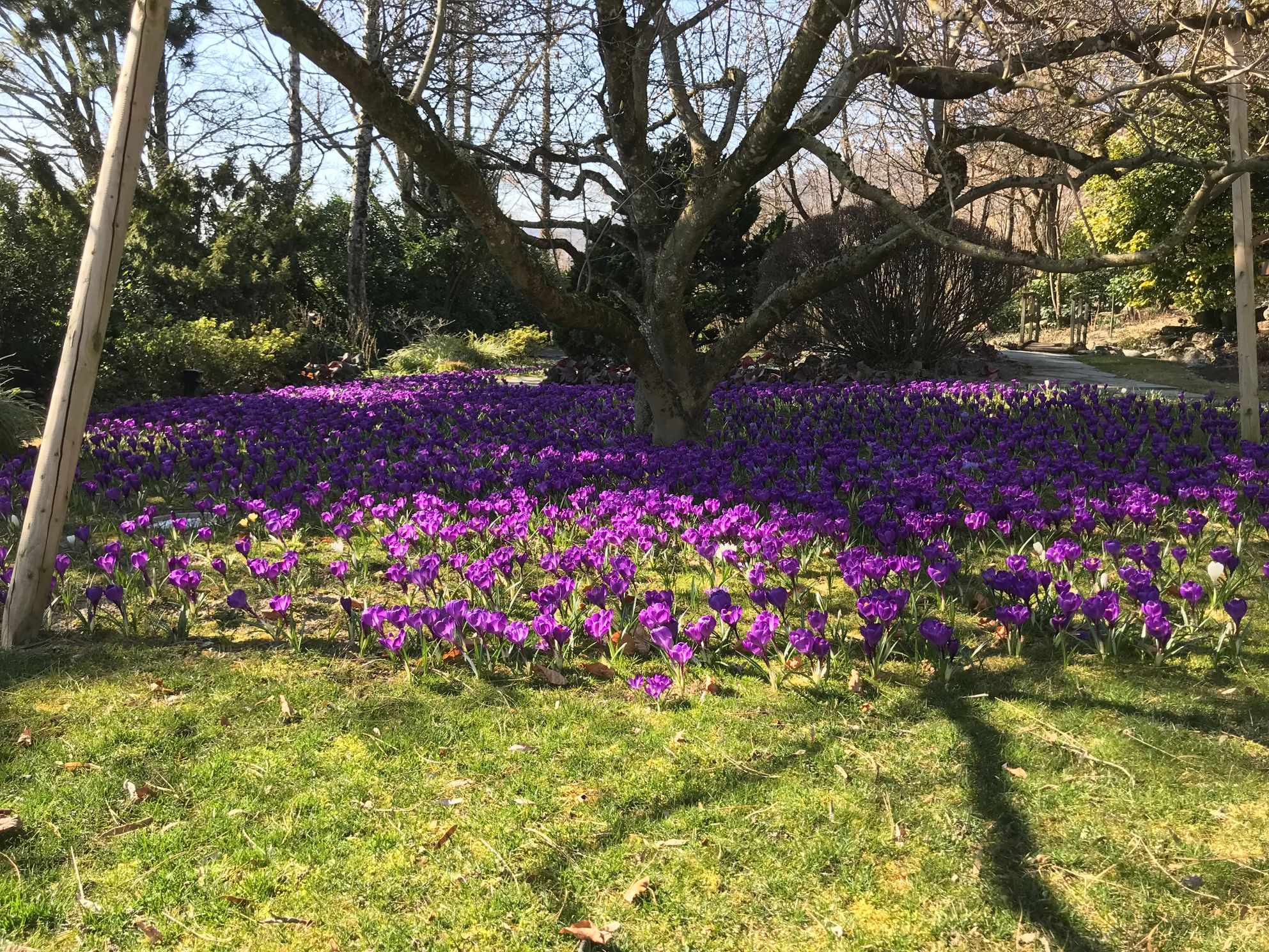 Bilder Armando Pinto Sàrl