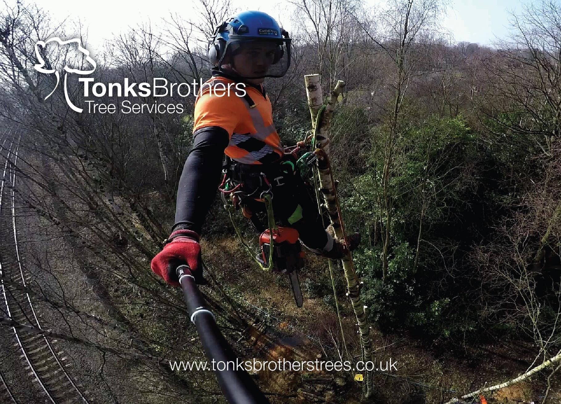Images Tonks Brothers Tree Services
