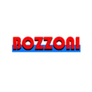 Bozzoni Srl Logo