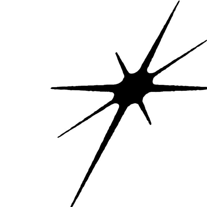 STEADIEST LTD Logo