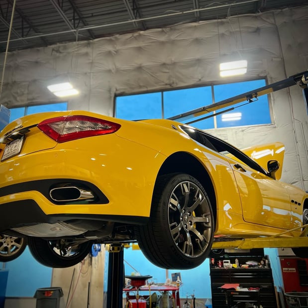 Images Loudoun County Exotics