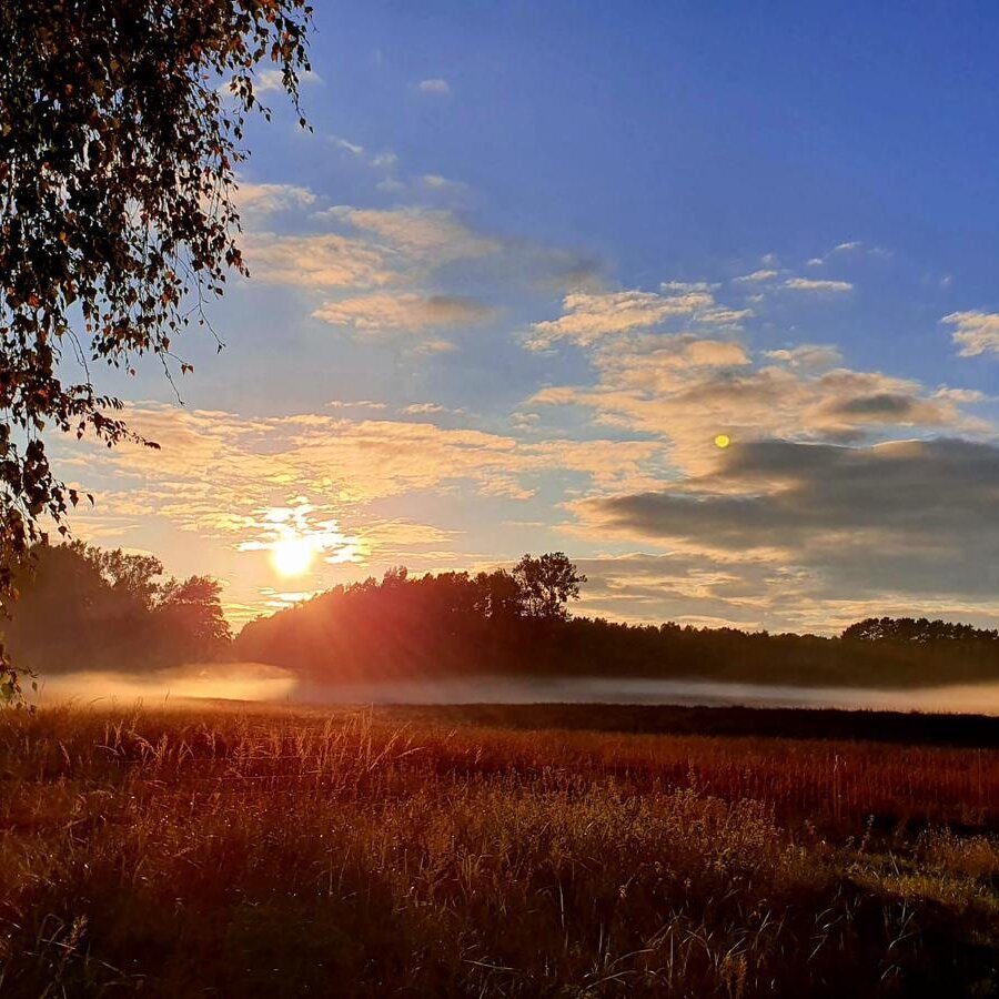 Fastenwanderzeit, Fleether Mühle 1 in Mirow