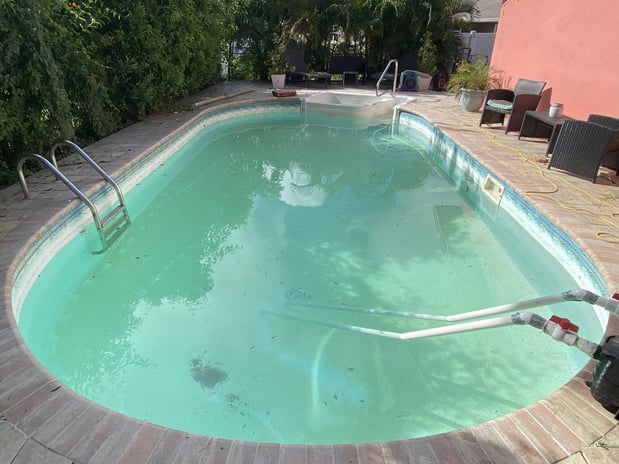 Images Paradise Palm Pools Inc