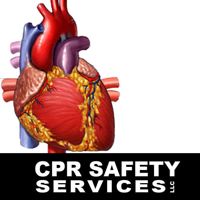 Cpr Safety Services, LLC