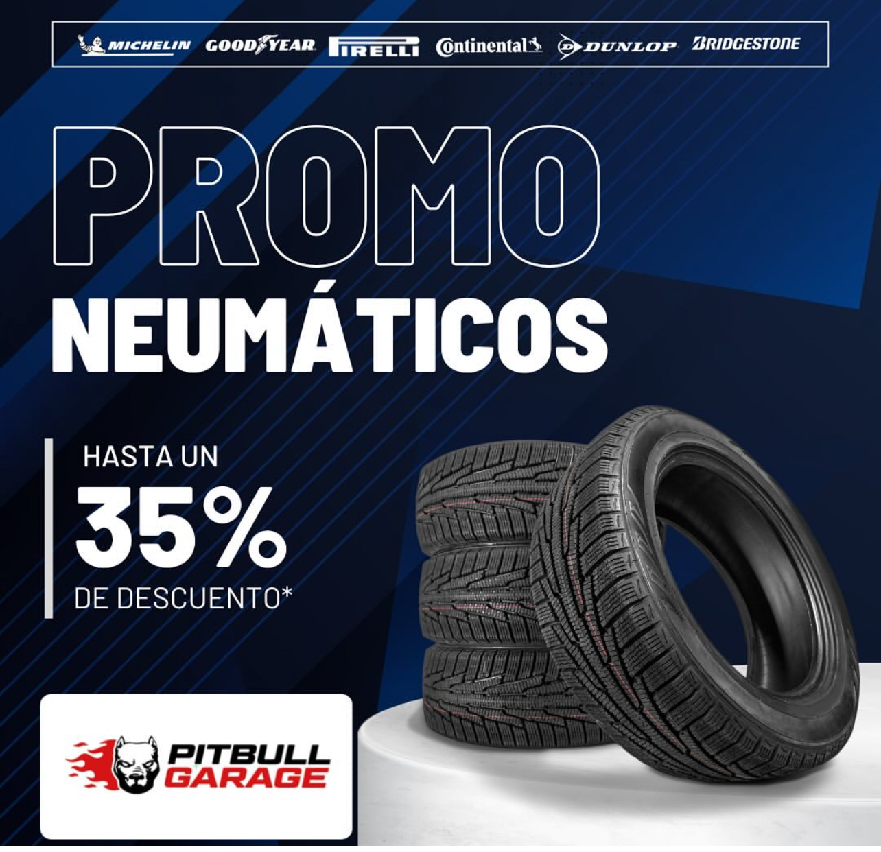 Images Piltbull Garage