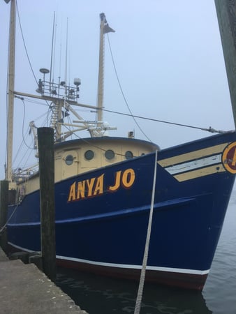 Images Martin Fish Co LLC