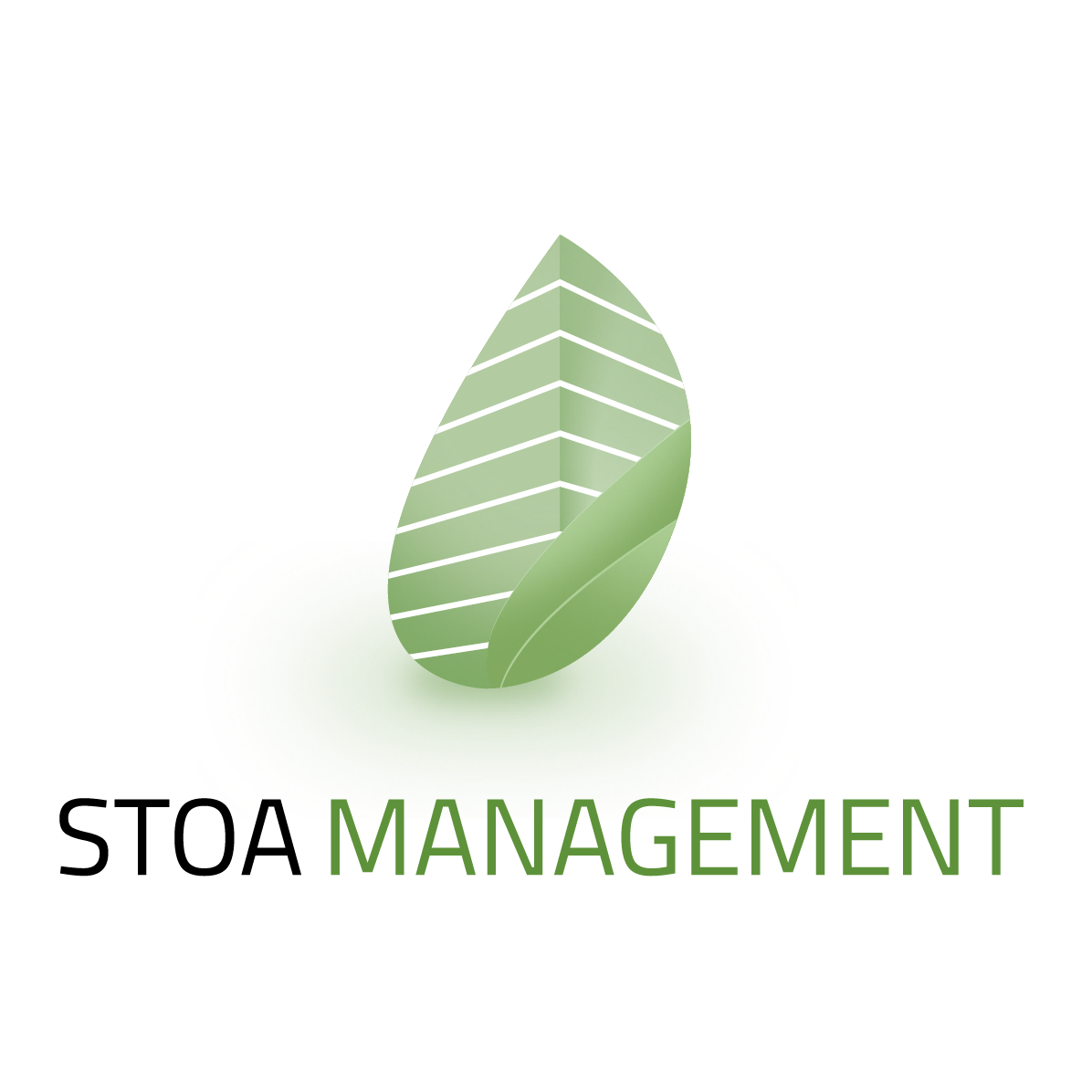 STOA MANAGEMENT Sàrl Logo
