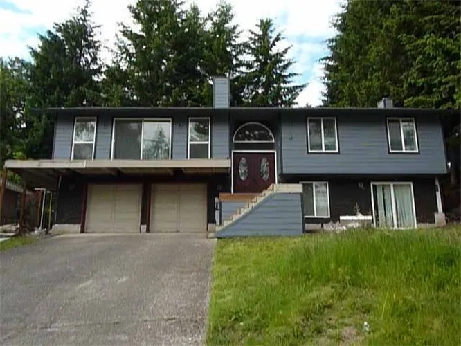 Images Da-Vinci Painting & Construction