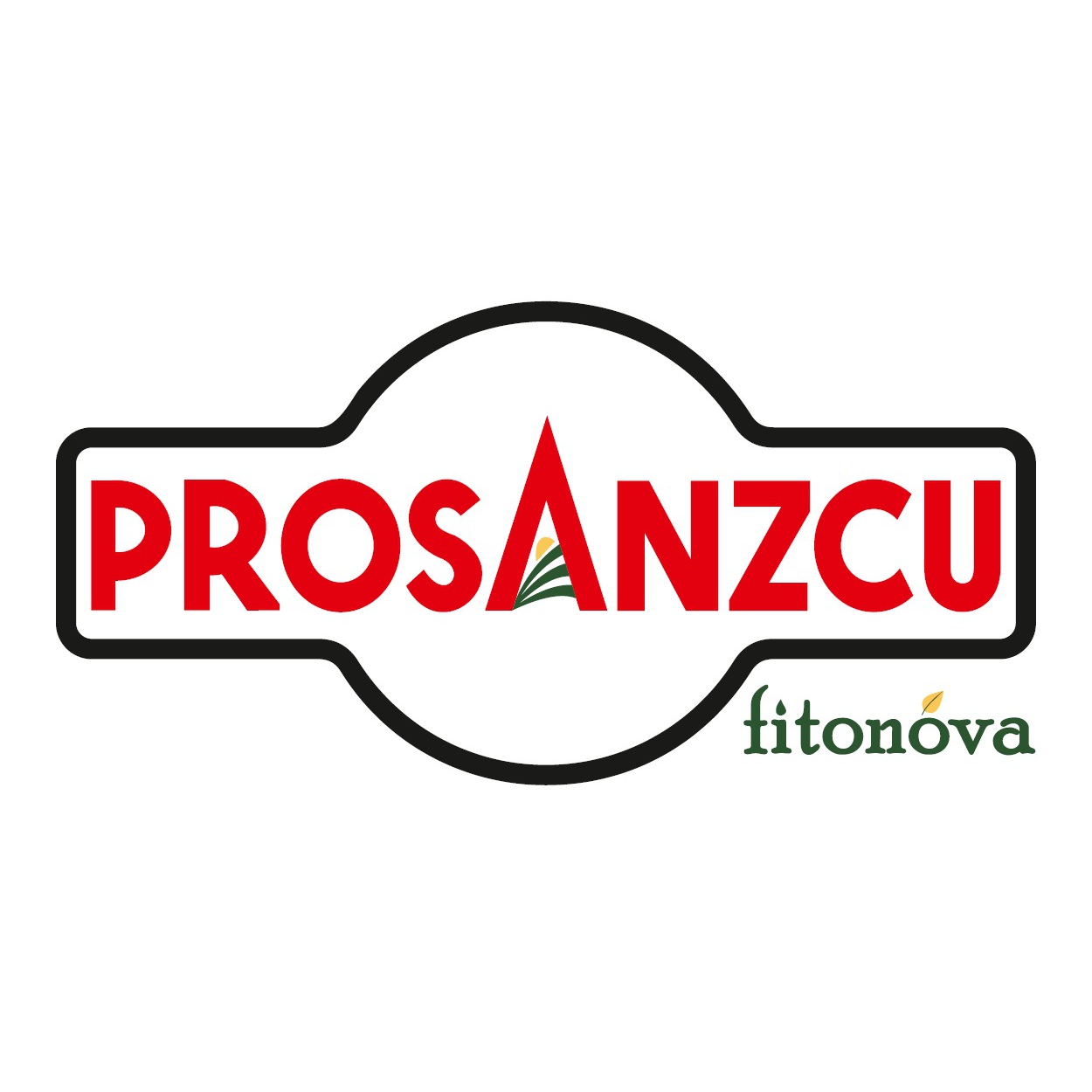 PROSANZCU, S.A. Fuentepelayo